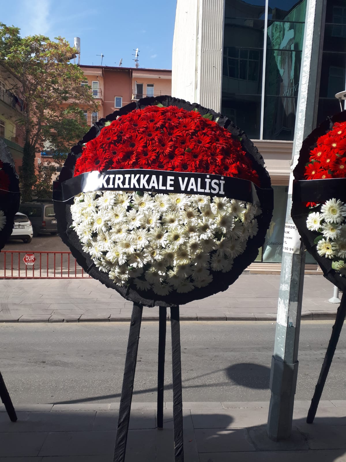 Orkide Cicekcilik