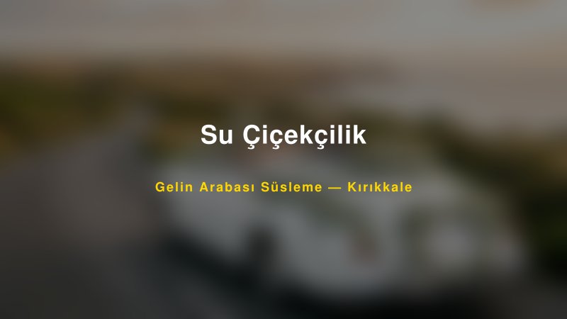 Su Çiçekçilik Gelin Arabası Süsleme Fiyatları — 1